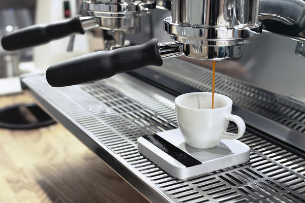 Lunar Silver - Acaia - Specialty Hub