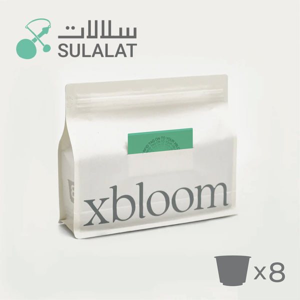 Taster Pack of Ethiopia (32 xPods) - xbloom