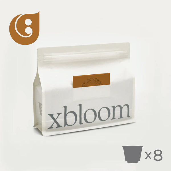 Qaf Ethiopia Yirgacheffee Gelcha (8 xPods) - xbloom