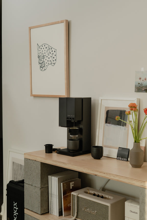 Studio Midnight Black - xBloom