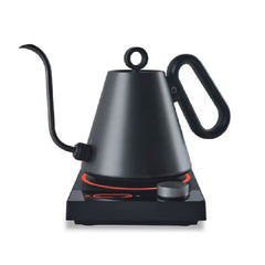 Enso Gooseneck Electric Kettle - Palatti